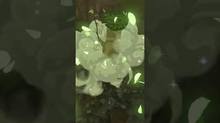 lil pick up rock #korok seed use magnesis to lift the door off in the teeny ruins#botw