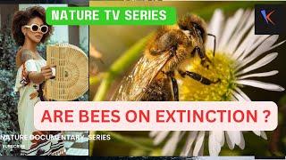 Nature documentary - our planet - Are Bees on extinction  -tv mini series