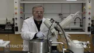 Extraction with Mark Niemczyk, Ph.D.