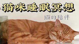 13min猫咪睡眠冥想｜深度睡眠｜放松心情｜安全感｜猫的陪伴