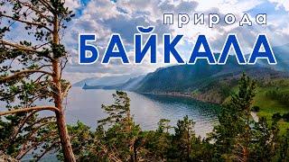 БАЙКАЛ: от Заката до Рассвета | ЛЕТО 2023