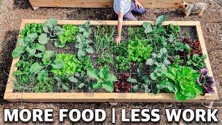 Using SQUARE FOOT Gardening Easily DOUBLED the Harvests