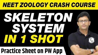 Skeleton System in 1 Shot - All Theory, Tricks & PYQs Covered | Class 11 | NEET