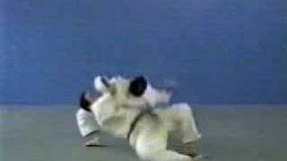 seoi otoshi tai otoshi