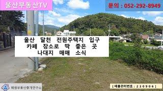 [울산부동산TV] (가격 저렴) 울산 북구 달천동 전원주택지 입구 카페,식당,편의점 하기 좋은 곳 소개합니다. (물건번호: 230906)
