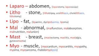 Medical terms 3, Prefixes part 2