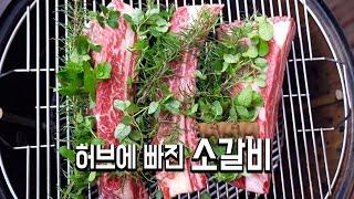 허브에 빠진 소갈비 (비프립)