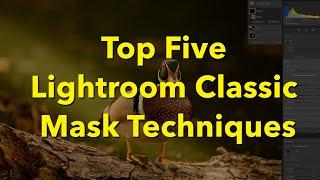 Top Five Masks in Lightroom Classic You Need to Know!