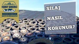 Silajın Üstü Nasıl Örtülür? #Silaj