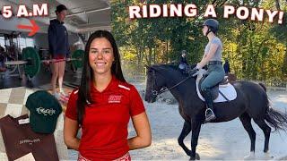 A day in my life as a D1 equestrian & YouTuber!!