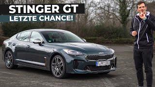 Kia Stinger GT 2023 Review / Fahrbericht - Das letzte Modelljahr! Wird er uns fehlen?