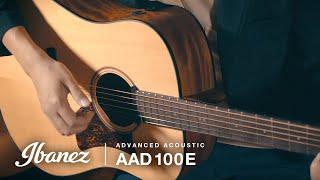 Ibanez AAD100E Acoustic Guitar