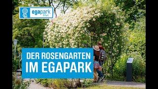 egapark-Rosengarten Vorstellung