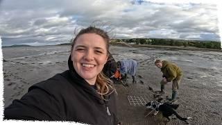 Wrapping up this year's seagrass fieldwork | VLOG