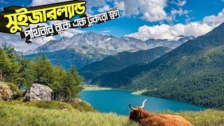 Switzerland Documentary in Bangla। সুইজারল্যান্ড ডকুমেন্টারী।