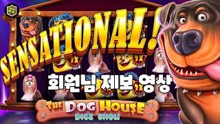 슬롯머신도그하우스 시리즈 회원님 제보 영상The Dog House Dice Show(PRAGMATIC PLAY) 더 도그하우스 다이스 쇼