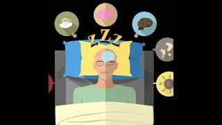 The Science of Sleep: How it affects your daily life