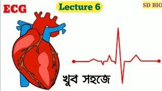 How to read ECG in bengali। Human Physiology class 11। Electrocardiogram and Electrocardiograph ।