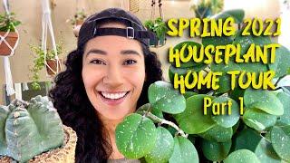 Houseplant Home Tour Spring 2021 Part 1