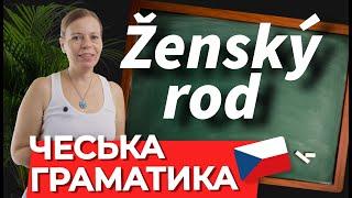 Іменники жіночого роду множини в чеській мові. Чеська граматика.