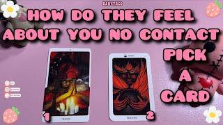 HOW DO THEY FEEL ABOUT YOU  NO CONTACT PICK A CARD