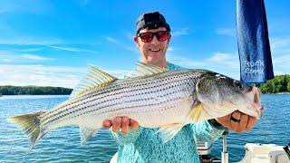 Smith Mountain Lake Striper Fishing (Rock Creek Striper Guide Service)