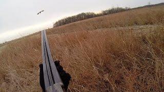 Controlled Pheasant Hunting Program