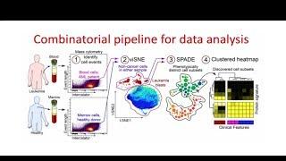 Webinar: Bench to Bytes - Translating Bench Research to the Clinic with Machine Learning Tools