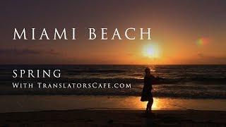 Miami Beach Spring with TranslatorsCafe.com