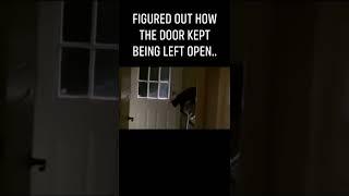 Our cat the escape artist.