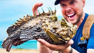 STUNG by a Stonefish! (Most Painful Sting on Earth)