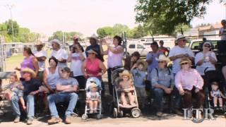 The Mule Parade at Bishop Mule Days