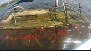 Derelict vessels removed around the Tampa Bay area