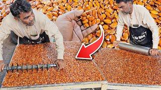 ALMOND PROTEIN BAR RECIPE! Amazing Street Food Processing Machine | BADAM WALI CHIKKI MAKING SKILLS