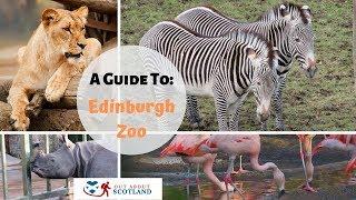 Edinburgh Zoo