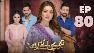 Teray Janay Kay Baad Episode 80 | 18th November 2024 | Tere Jaane Ke Baad Episode 80 | ARY Drama