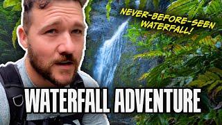 Waterfall Hike And Vlog | New Zealand Wilderness