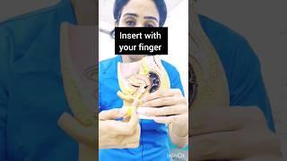 How to Insert Vaginal Tablet #shorts #vagina #pessary