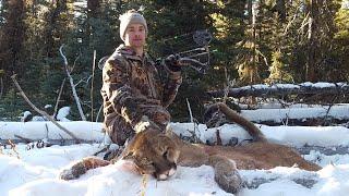 MT LION HUNT 2015