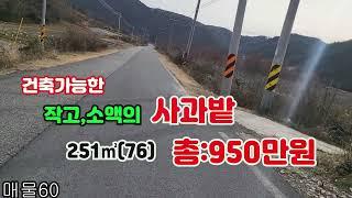 #매물60#2차선도접,작은사과밭#건축가능#251㎡(76)#총:950만원 #작은땅#소액의땅#시골땅#싼땅#촌땅#촌집#임야#묘터#주말농장지#전원주택지#귀농,귀촌하실분#의성부동산#경북땅