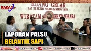 Laporan Palsu Belantik Sapi