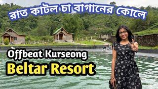 A Secret Hill station in Kurseong।offbeat Places in Darjeeling।Offbeat Kurseong