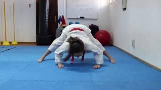 Ballistic Flexibility - Karate Science Academy