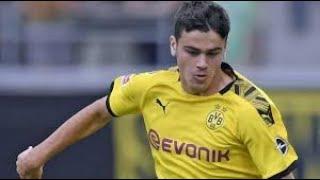 Giovanni Reyna 2020 - Skills And Goals - Borussia Dortmund