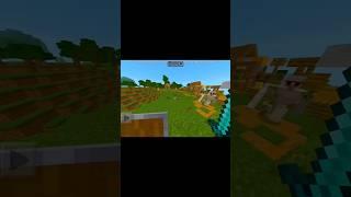 Minecraft glitches  || #shorts #minecraft #gameplay #gaming #trending #mcpe