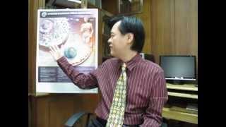 Flu, Cold & Fever Treatment -- Dr Willie Ong Health Blog #15