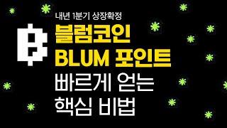 블럼코인 BLUM 포인트 빠르게 얻는 핵심 비법