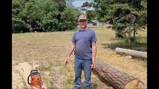 Chainsaw Milling a Large Beam From a Log