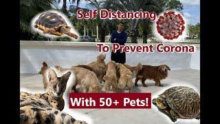 Self Quarantine From Corona With 50+ Pets!!