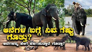 Unknow facts about Elephants ಆನೆಗಳ ಬಗ್ಗೆ ನಿಮಗೆಷ್ಟು ಗೊತ್ತು? | Kannada Vlogs